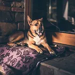 Κάμπινγκ Eco Camp Supot Šmarje