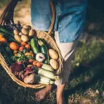 Κάμπινγκ Eco Camp Supot