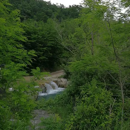 Eco Camp Supot Kamp alanı Šmarje