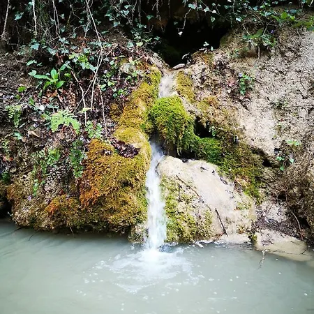 Kamp alanı Eco Camp Supot *