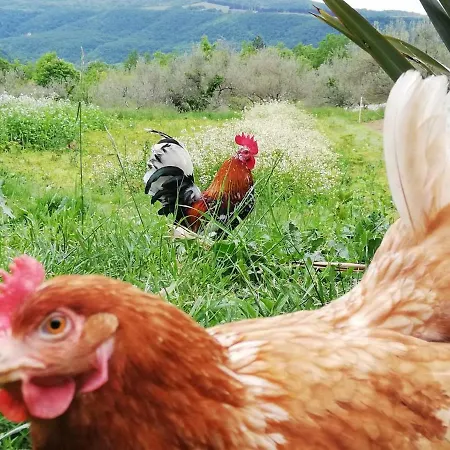 Eco Camp Supot * Šmarje