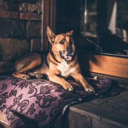 Kamp alanı Eco Camp Supot Šmarje