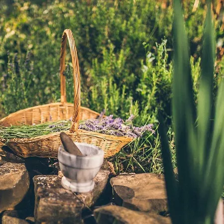 Eco Camp Supot Šmarje