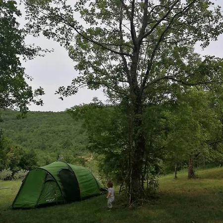 Eco Camp Supot
