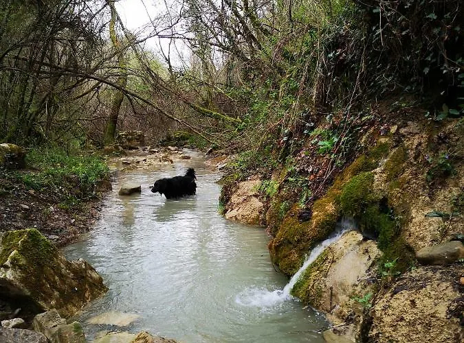 Eco Camp Supot Šmarje
