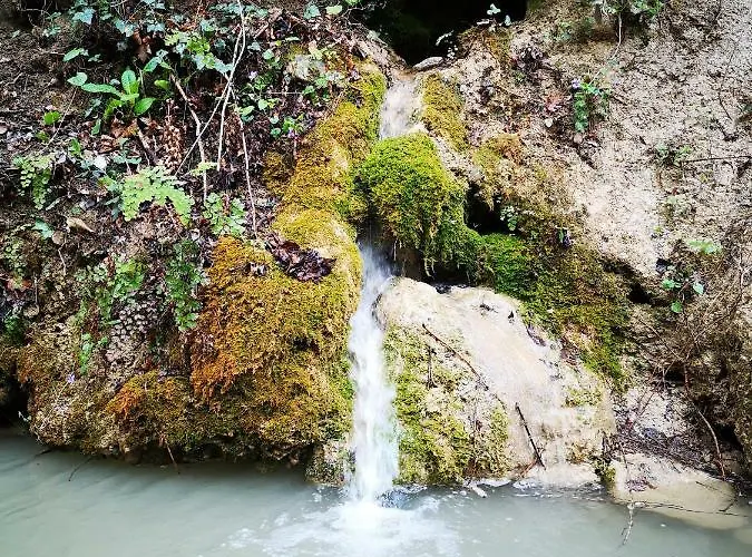 אתר קמפינג Eco Camp Supot *