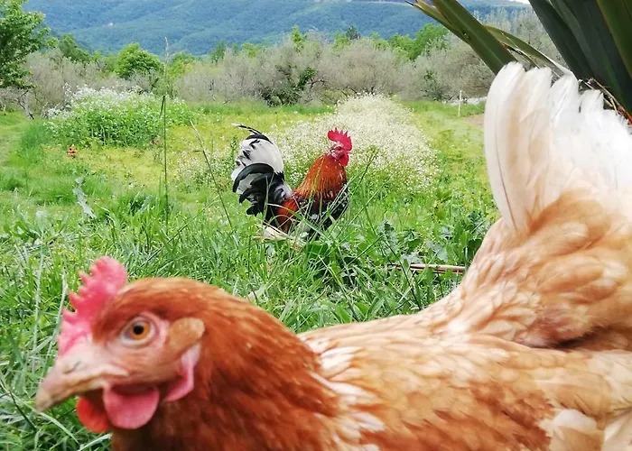 Eco Camp Supot * Šmarje