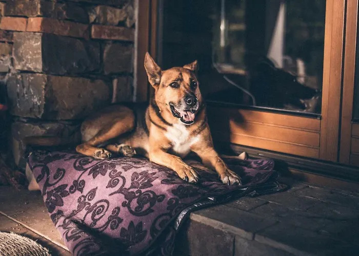 مكان تخييم Eco Camp Supot Šmarje