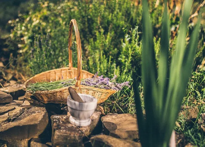 Eco Camp Supot Šmarje