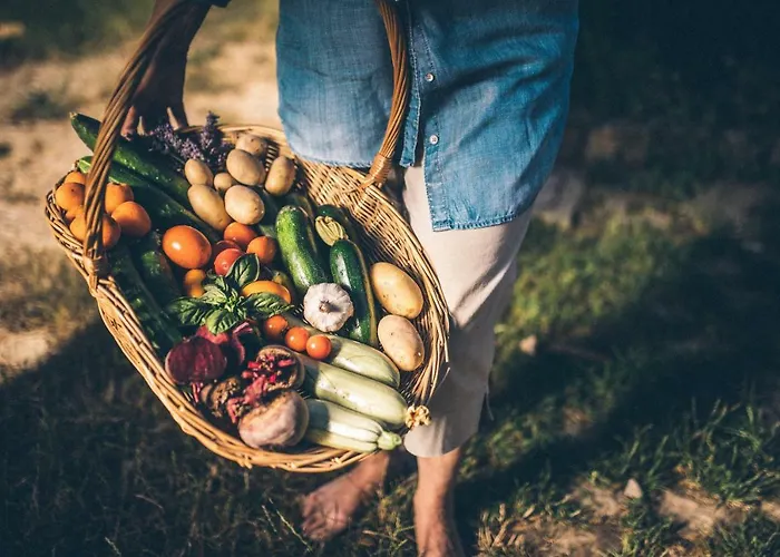 Parque de Campismo Eco Camp Supot